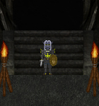 Asesino elfo oscuro