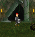 Paladín humano