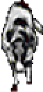 Vaca