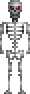 Esqueleto