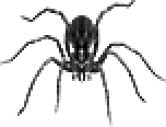 Araña Gigante