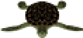 Tortuga Gigante